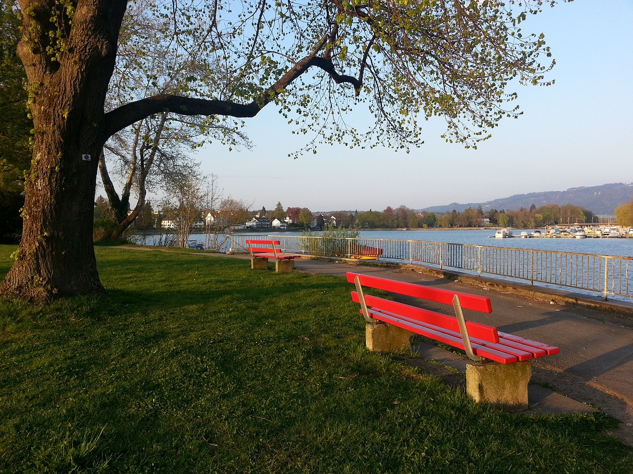 色发挥不仅 色发挥不仅