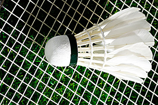 积极的调整 积极的调整