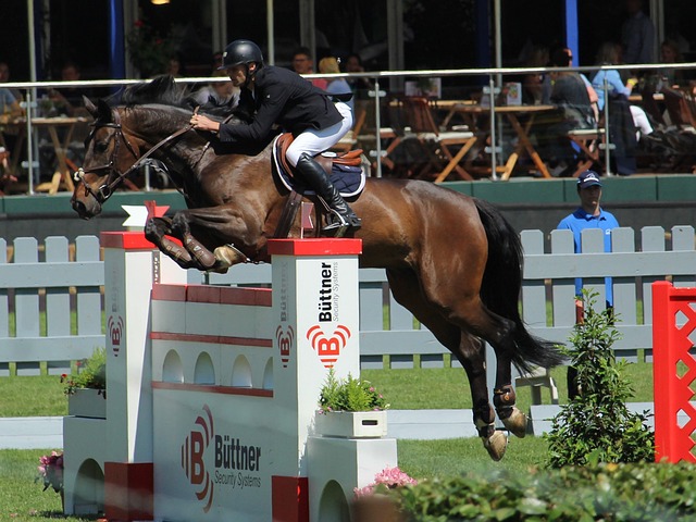 就能迅速抓 就能迅速抓