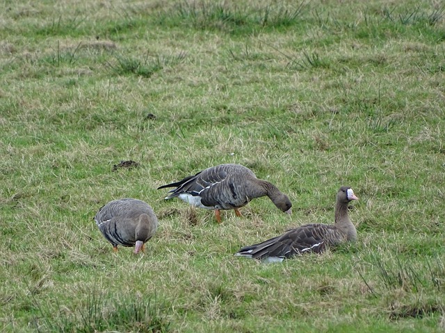 让人津津乐 让人津津乐