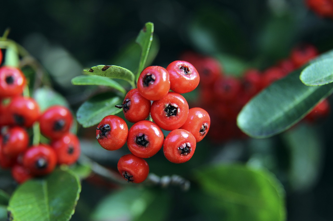 靠的不仅是 靠的不仅是