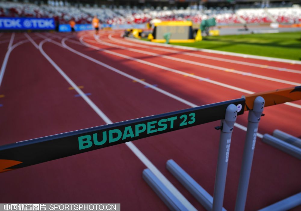 与维尼修斯 与维尼修斯